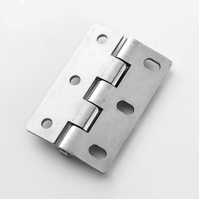 Stainless Steel 304 Spring Hinge with High Quality